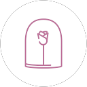 ורד חלוצי חן profile picture